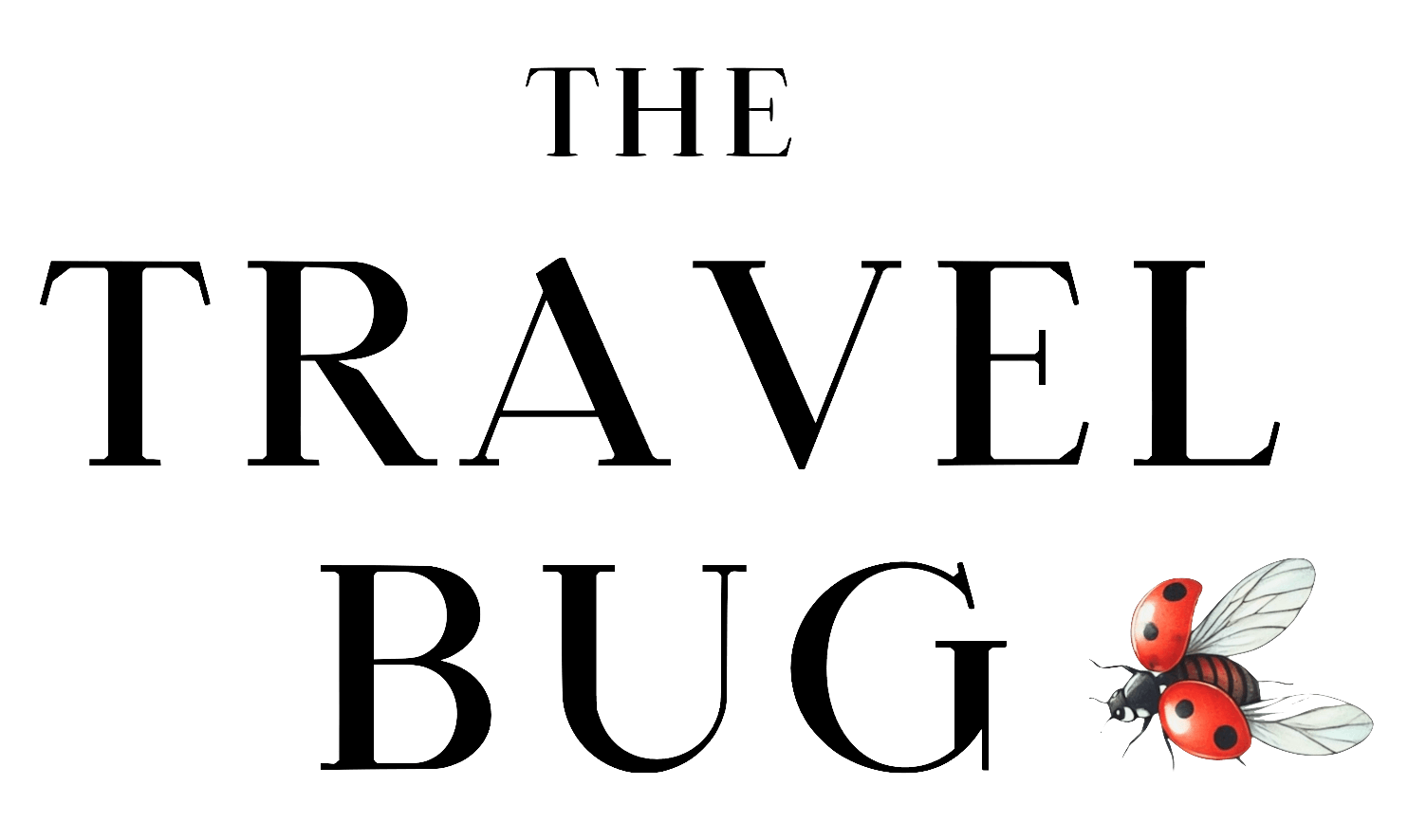 The Travel Bug